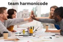 Team Harmonicode