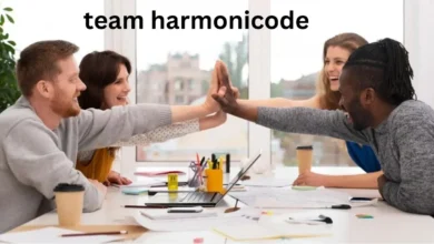 Team Harmonicode